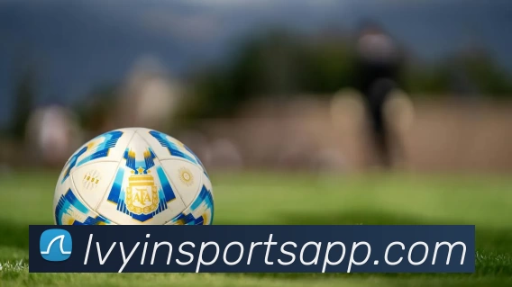 绿茵体育APP平台生态图