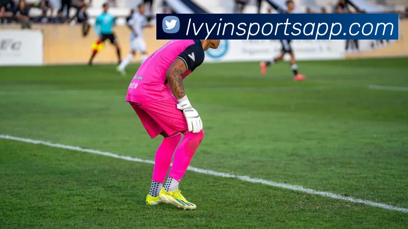 数据防护可视化